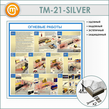    (TM-21-SILVER)