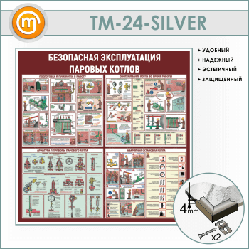      (TM-24-SILVER)