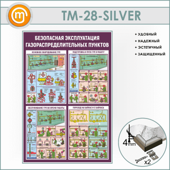      (TM-28-SILVER)