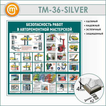       (TM-36-SILVER)