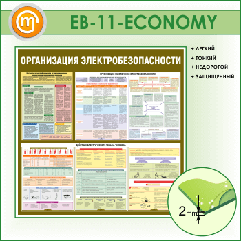    (EB-11-ECONOMY)