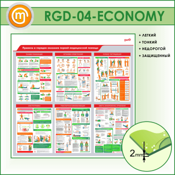         (RGD-04-ECONOMY)