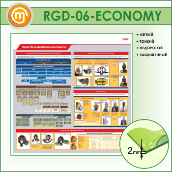     (RGD-06-ECONOMY)