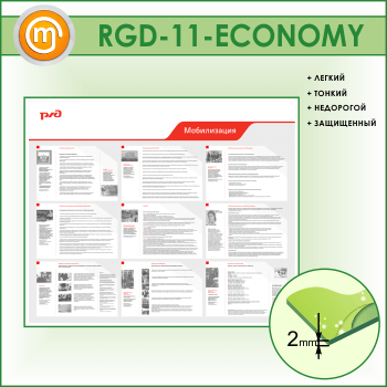   (RGD-11-ECONOMY)