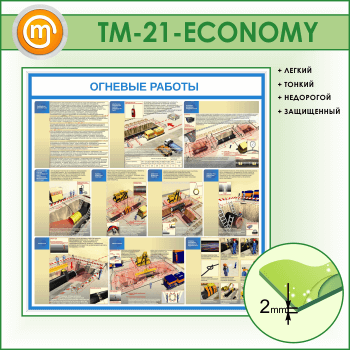    (TM-21-ECONOMY)