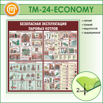      (TM-24-ECONOMY)