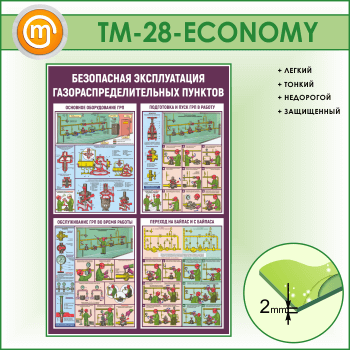      (TM-28-ECONOMY)