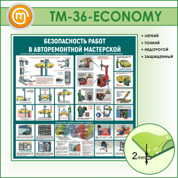       (TM-36-ECONOMY)