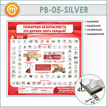   .     (PB-05-SILVER)