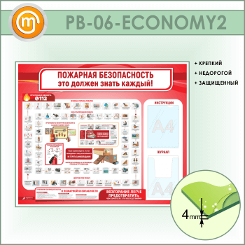   .          (PB-06-ECONOMY2)