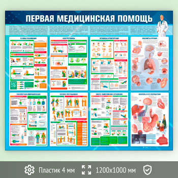     (PM-08-ECONOMY2)