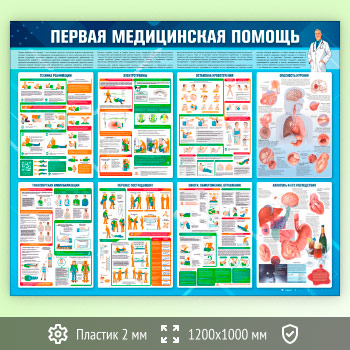     (PM-08-ECONOMY)