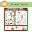  .     (EB-06-ECONOMY)