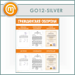     6   (GO-12-SILVER)