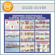  -     (GO-20-SILVER)