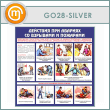         (GO-28-SILVER)