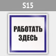  ()  , S15 (, 250250 )
