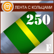     ( 250 ,  )