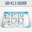      2-  4  (GO-42.1-SILVER)