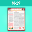      , ,  (-19, . , 2, 1 )