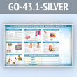     2-  4  (GO-43.1-SILVER)