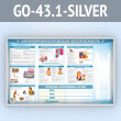     2-  4  (GO-43.1-SILVER)