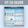   .    (OT-28-SILVER)