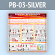   .    (PB-03-SILVER)