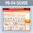   .         (PB-04-SILVER)