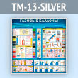    (TM-13-SILVER)