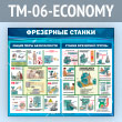    (TM-06-ECONOMY)