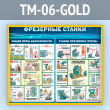    (TM-06-GOLD)