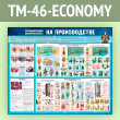      (TM-46-ECONOMY)