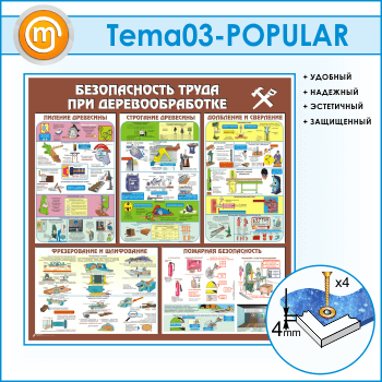 Стенд «Безопасность труда при деревообработке» (TM-03)