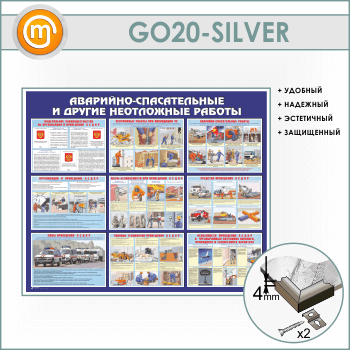 ����� ���������-������������ � ������ ���������� ������� (GO-20-SILVER)