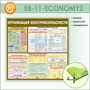 Стенд «Организация электробезопасности» (EB-11-ECONOMY2)