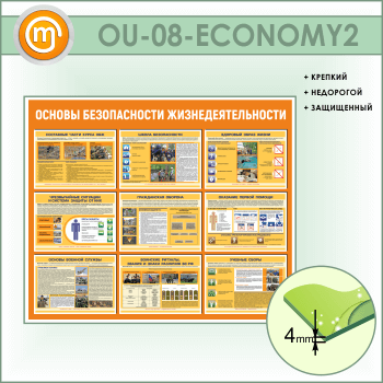 ����� ������� ������������ ����������������� (OU-08-ECONOMY2)