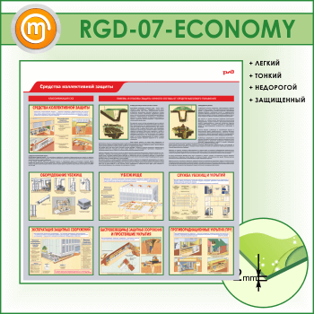 ����� ��������� ������������ ������� (RGD-07-ECONOMY)
