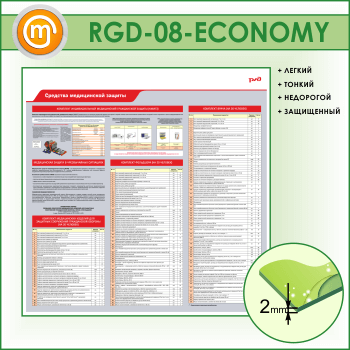 ����� ��������� ����������� ������� (RGD-08-ECONOMY)