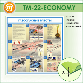 ����� ������������ ������� (TM-22-ECONOMY)
