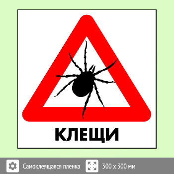 ���� ������, B97