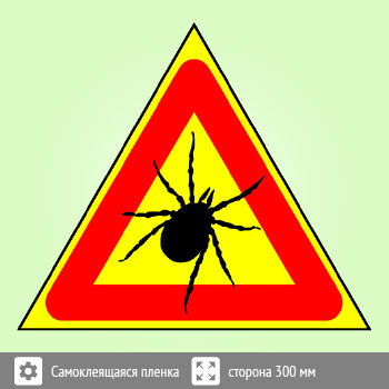 ���� ������, B98