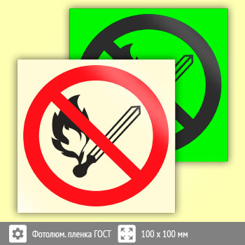 Знак P02 «Запрещается пользоваться открытым огнем и курить» (фотолюминесцентная пленка ГОСТ 34428-2018, 100х100 мм)