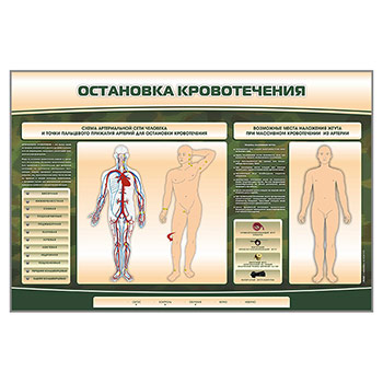 Электрифицированный стенд-тренажер «Остановка кровотечения»