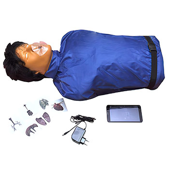 �����-�������� ������� ��� ��������� ������� ���