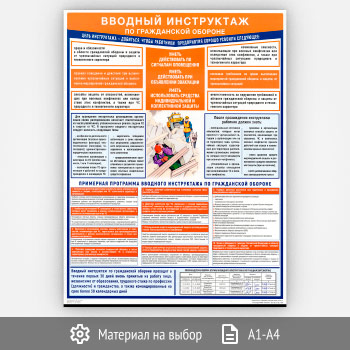 Плакат «Вводный инструктаж по гражданской обороне» (С-90, 1 листа)