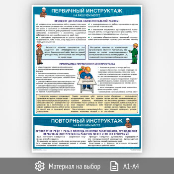 Плакат «Первичный инструктаж на рабочем месте» (С-111, 1 лист)