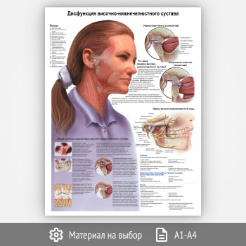 ������ ����������� �������-��������������� ������� (���-33, 1 ����)